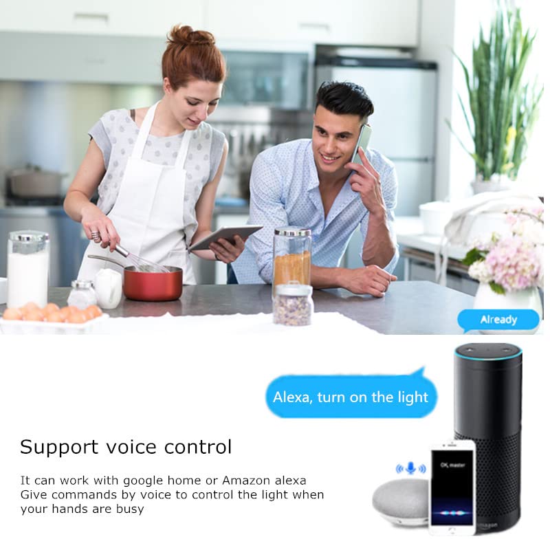 2 Gang 16A Smart Switch Module