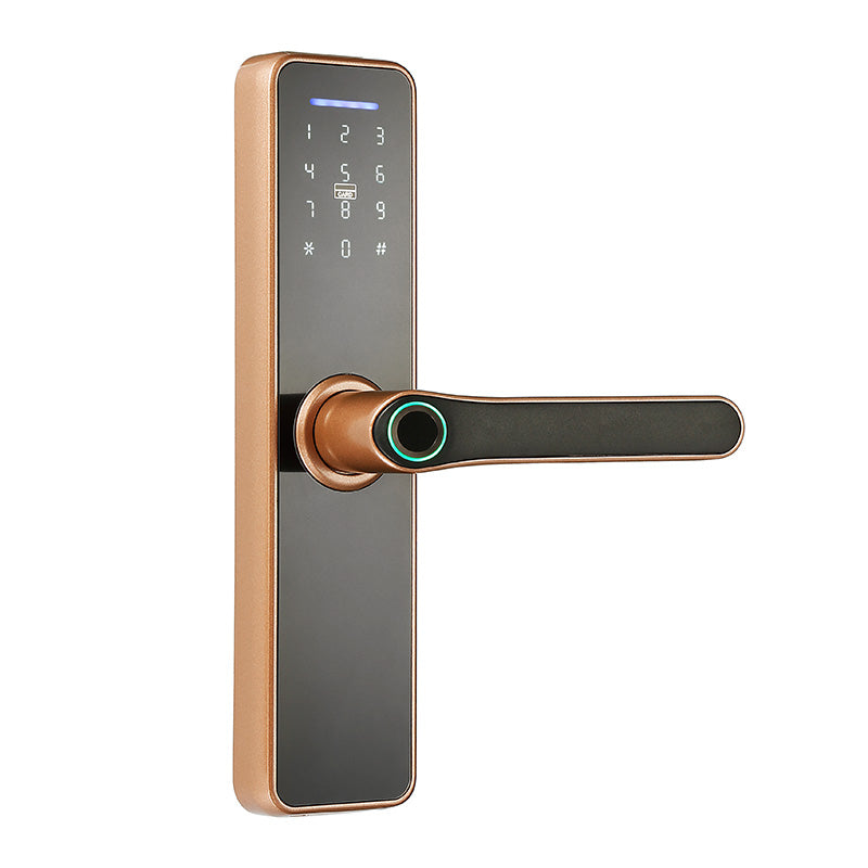 Smart Door Lock For Wooden Doors OK31
