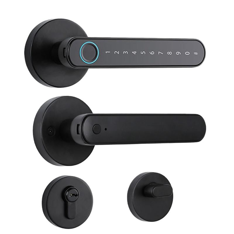 Smart Gold Lever Door Lock Fingerprint And Touchscreen