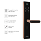 Okos Smart Wi-Fi Wooden Door Lock, OKWDL-OT11