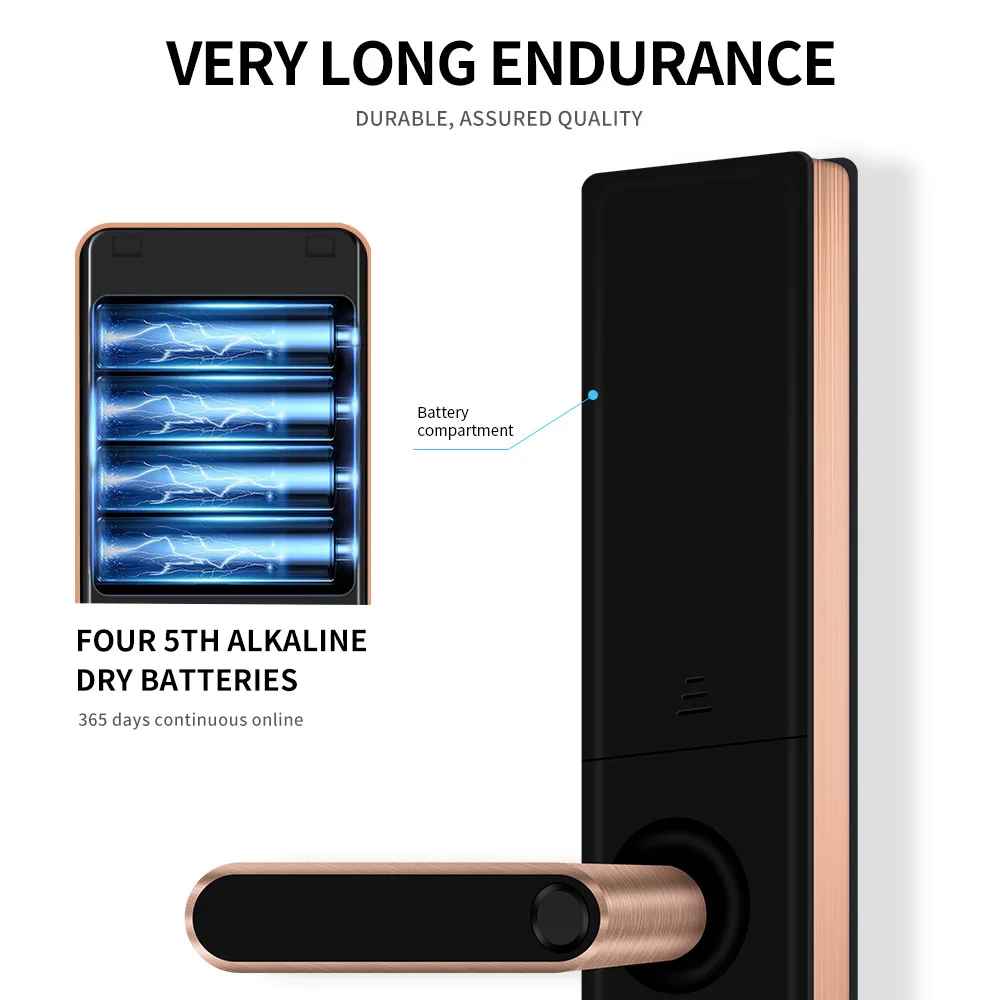 Okos Smart Wi-Fi Wooden Door Lock, OKWDL-OT11