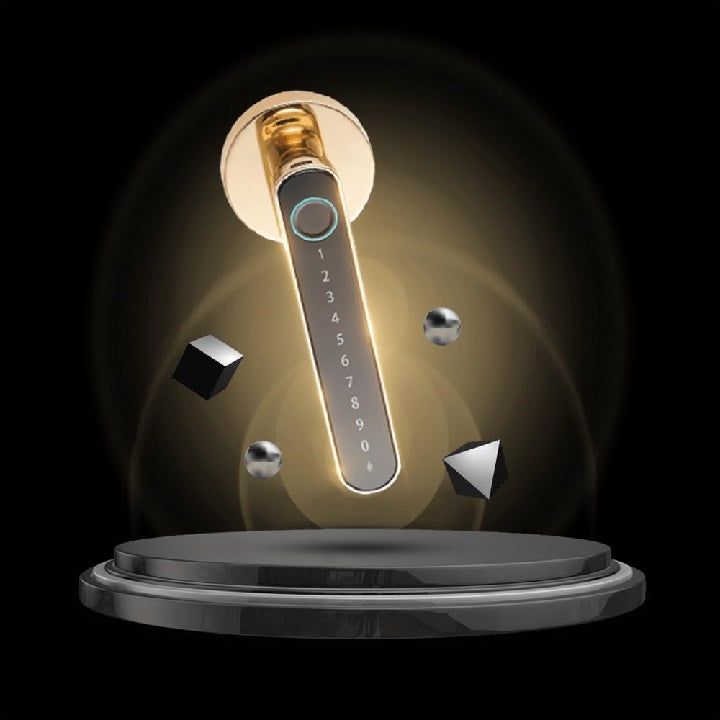 Smart Gold Lever Door Lock Fingerprint And Touchscreen