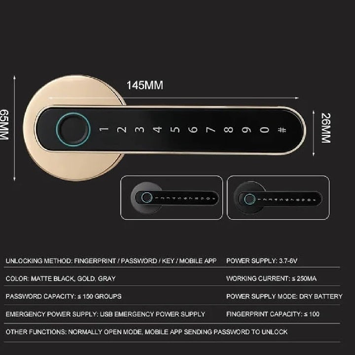 Smart Gold Lever Door Lock Fingerprint And Touchscreen