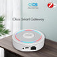OKOS Smart LAN Gateway ,‎OK-ZIG-LANGTW