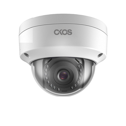 Dome Security Camera (Ceiling Mount)