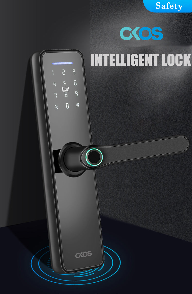 Smart Door Lock For Wooden Doors OK31B